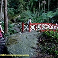 P1880064.jpg