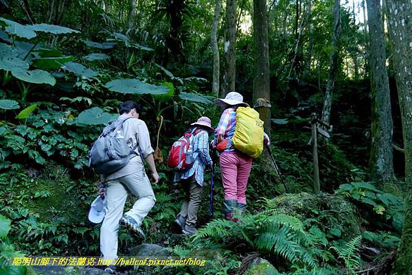 P1880069.jpg P1880069.jpg