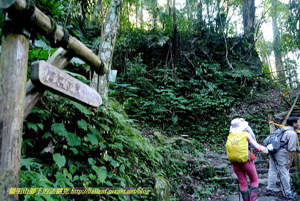 P1880070.jpg P1880070.jpg