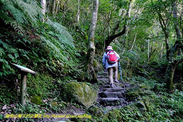 P1880075.jpg P1880075.jpg