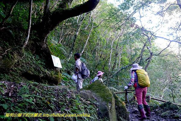 P1880076.jpg P1880076.jpg