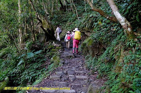 P1880077.jpg P1880077.jpg