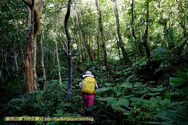 P1880091.jpg P1880091.jpg