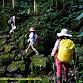 P1880093.jpg