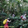 P1880094.jpg