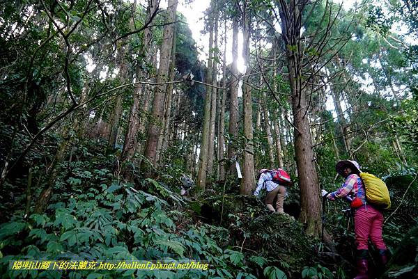 P1880095.jpg P1880095.jpg