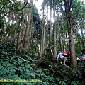 P1880095.jpg
