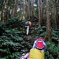 P1880098.jpg
