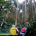P1880099.jpg