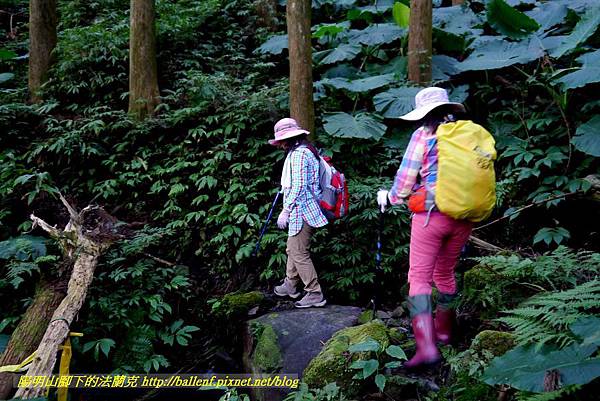 P1880100.jpg P1880100.jpg