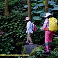 P1880100.jpg