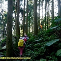 P1880101.jpg