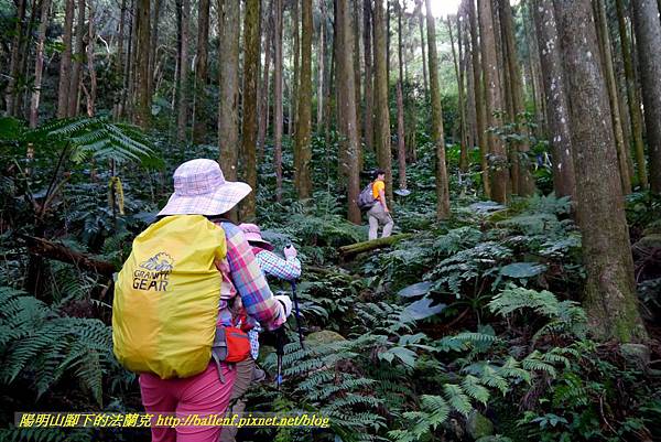 P1880105.jpg P1880105.jpg