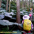 P1880110.jpg