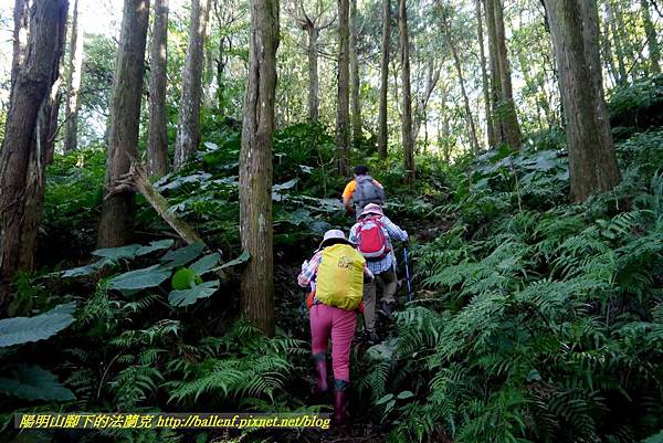 P1880122.jpg P1880122.jpg