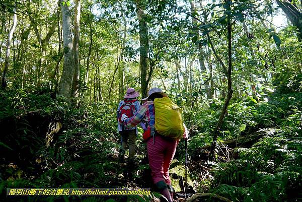 P1880124.jpg P1880124.jpg