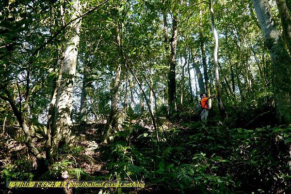 P1880125.jpg P1880125.jpg