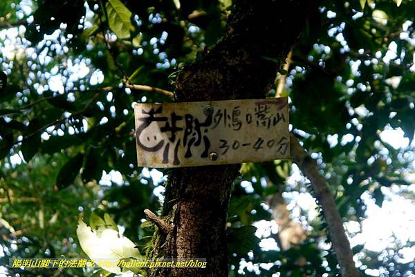 P1880129.jpg P1880129.jpg