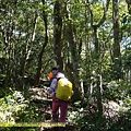 P1880131.jpg