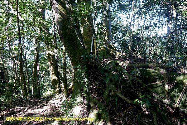 P1880132.jpg P1880132.jpg