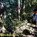 P1880133.jpg