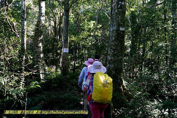 P1880137.jpg P1880137.jpg