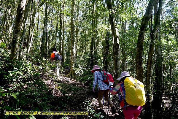 P1880139.jpg P1880139.jpg