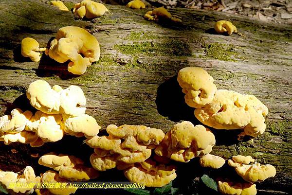 P1880143.jpg P1880143.jpg