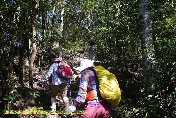 P1880153.jpg P1880153.jpg