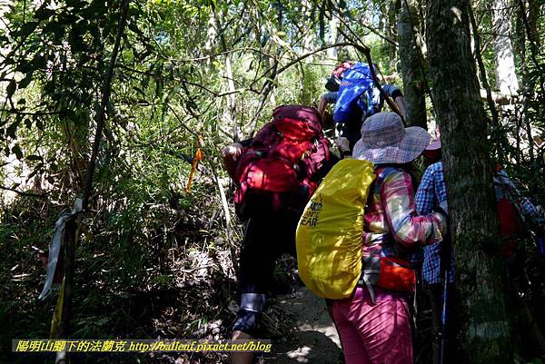 P1880155.jpg P1880155.jpg