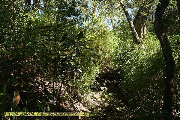 P1880158.jpg P1880158.jpg