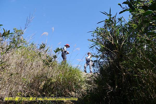 P1880160.jpg P1880160.jpg