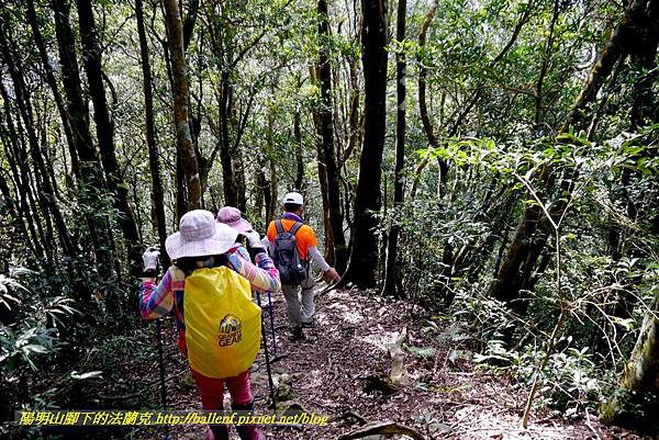 P1880187.jpg P1880187.jpg