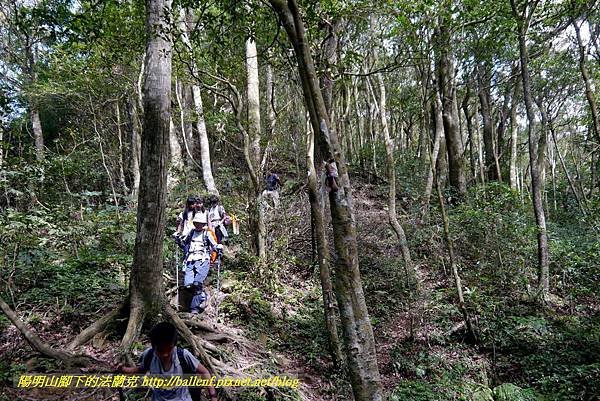 P1880197.jpg P1880197.jpg