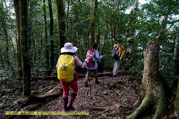 P1880203.jpg P1880203.jpg