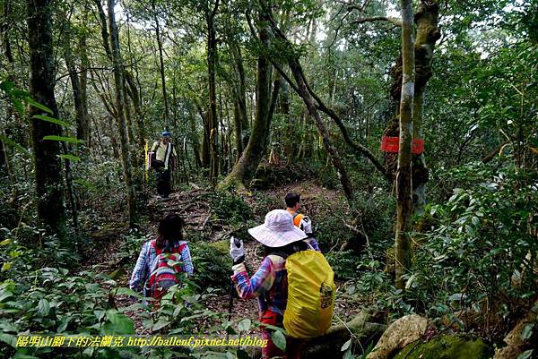 P1880204.jpg P1880204.jpg