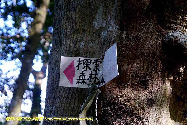 P1880205.jpg P1880205.jpg