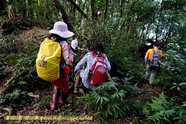 P1880206.jpg P1880206.jpg