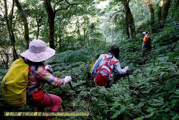 P1880213.jpg P1880213.jpg