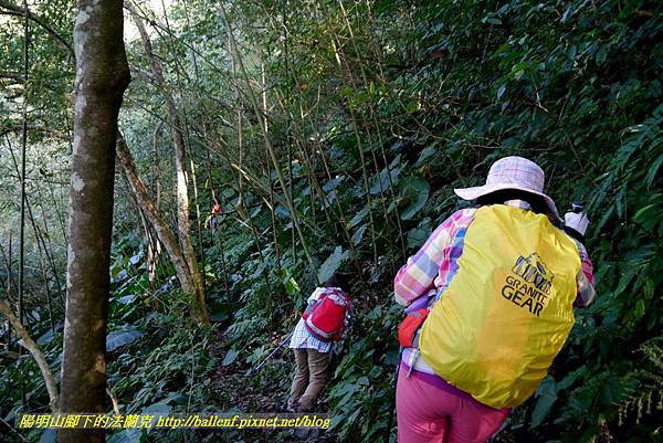 P1880217.jpg P1880217.jpg