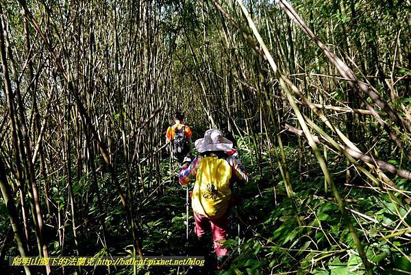 P1880219.jpg P1880219.jpg