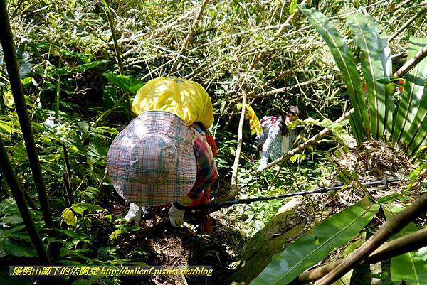 P1880221.jpg P1880221.jpg