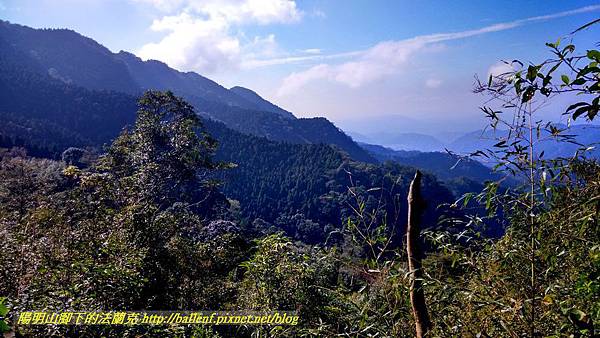 P1880223.jpg P1880223.jpg