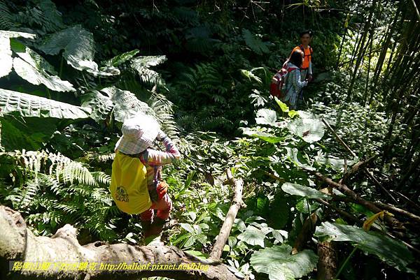 P1880226.jpg P1880226.jpg