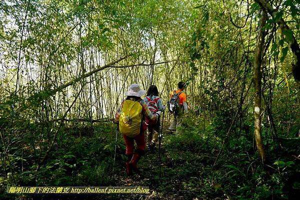 P1880231.jpg P1880231.jpg