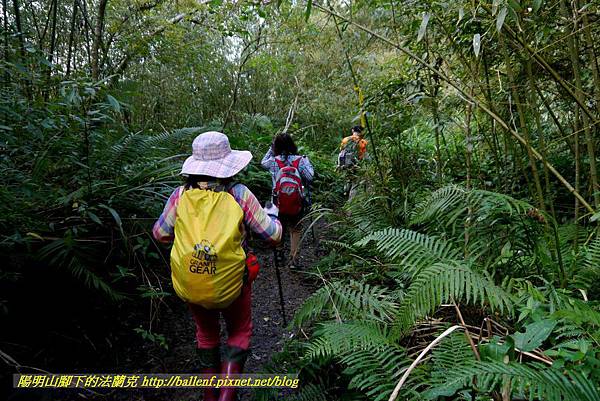 P1880240.jpg P1880240.jpg