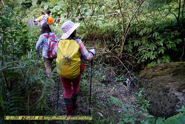 P1880241.jpg P1880241.jpg