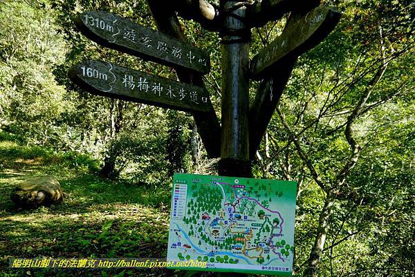 P1880251.jpg P1880251.jpg