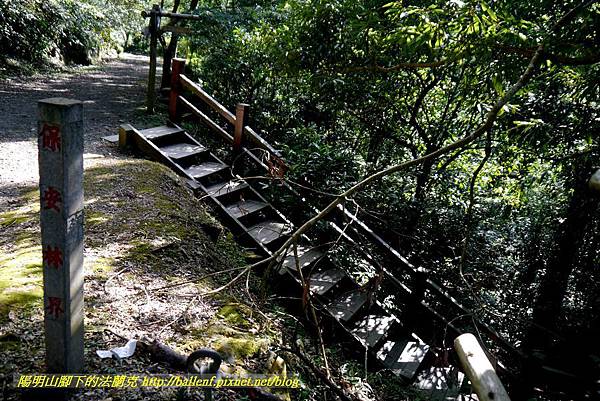 P1880256.jpg P1880256.jpg