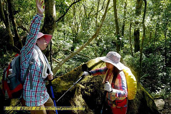 P1880260.jpg P1880260.jpg